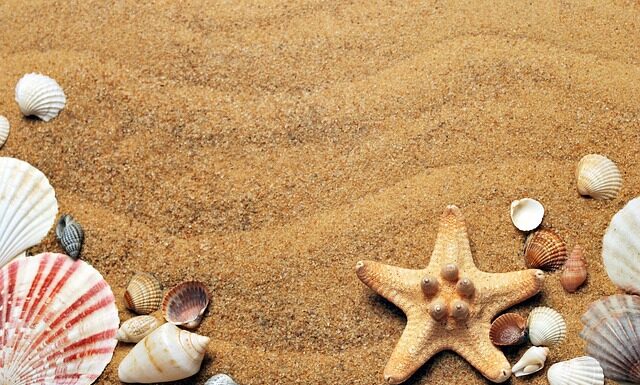 Ile kosztuje mieszkanie w Czechach? Ile kosztuje mieszkanie w Czechach?