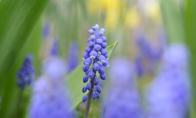 Co wyróżnia Włochy? Co wyróżnia Włochy?