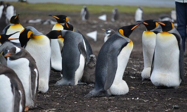 Ile jest wysp w Wenecji? Ile jest wysp w Wenecji?