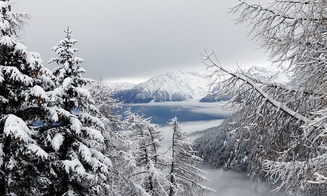 Ile wynosi średnia pensja w Czechach?