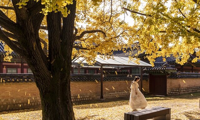 Co jest zakazane w Wenecji? Co jest zakazane w Wenecji?