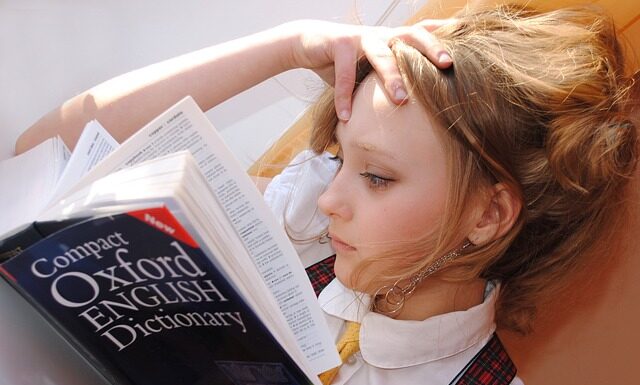 W jakim języku mówi się w Wenecji?