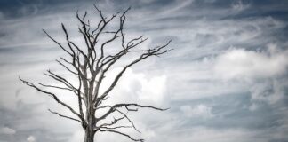 Gdzie najlepiej się żyje w Europie?