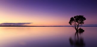 Ile wody na 10l moszczu?