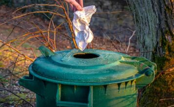Ile kosztuje tona węgla na Słowacji? Ile kosztuje tona węgla na Słowacji?