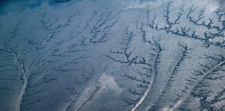 Jaki napiwek w Pradze?