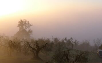 W jakim kraju żyje się najlepiej?