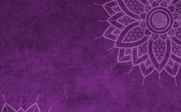 Ile wynosi mandat za spanie na dziko?