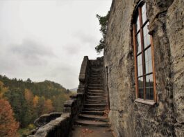 Jakie miasta warto zwiedzić w Czechach?