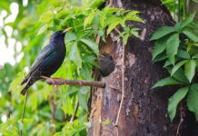 Jaki jest najsilniejszy kraj na świecie? Jaki jest najsilniejszy kraj na świecie?