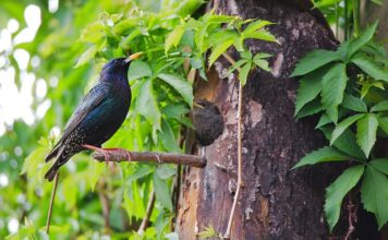 Jaki jest najsilniejszy kraj na świecie?
