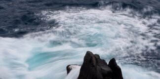 Jakie są ceny w Danii?