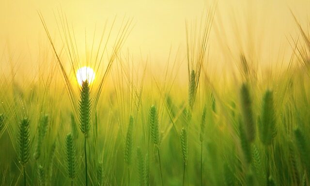 Jaki charakter mają Włosi?