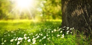 Ile stopni jest w lato we Włoszech?