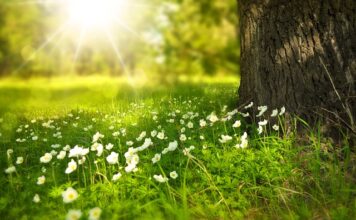 Ile stopni jest w lato we Włoszech? Ile stopni jest w lato we Włoszech?