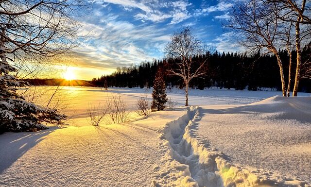 Jakie światła gdy pada śnieg? Jakie światła gdy pada śnieg?