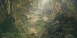 Ile kosztuje wycieczka do Pragi na 3 dni?