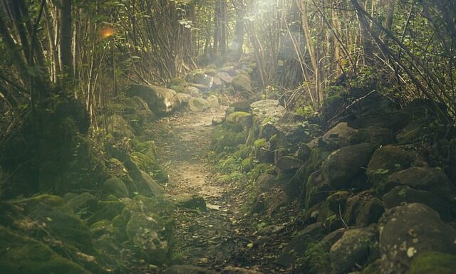 Ile kosztuje wycieczka do Pragi na 3 dni? Ile kosztuje wycieczka do Pragi na 3 dni?