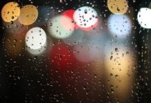 Czy światła dzienne muszą być z tyłu? Czy światła dzienne muszą być z tyłu?