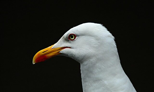 Czy 14 latek może zostać sam w domu na noc? Czy 14 latek może zostać sam w domu na noc?