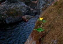 Jakich dzielnic unikać w Kopenhadze?