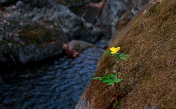Jakich dzielnic unikać w Kopenhadze? Jakich dzielnic unikać w Kopenhadze?