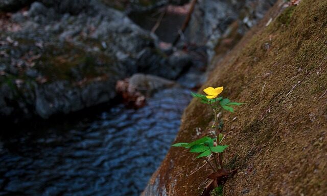 Jakich dzielnic unikać w Kopenhadze?