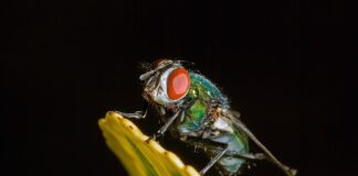 Ile to jest 10 tys koron czeskich?