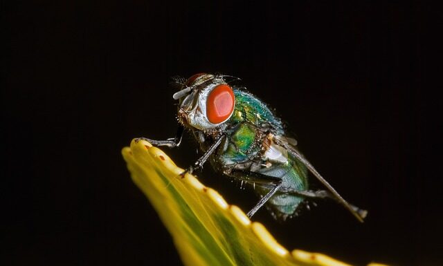 Ile to jest 10 tys koron czeskich? Ile to jest 10 tys koron czeskich?