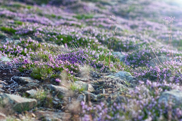 Jak najłatwiej dostać się na Śnieżkę? Jak najłatwiej dostać się na Śnieżkę?