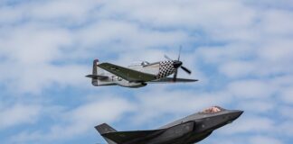 Czym się różni APA od ipy?