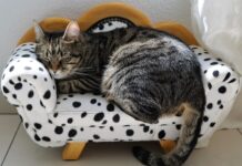 Do której trwa Siesta we Włoszech?