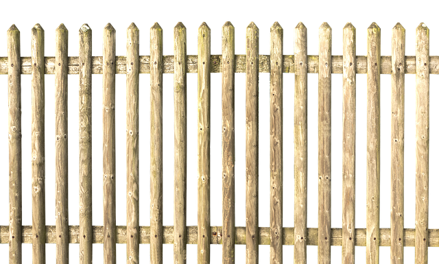 Co sprawdzają na granicy?