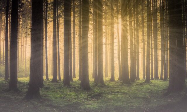 Jak jechać we mgle w nocy? Jak jechać we mgle w nocy?