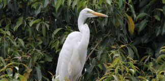 W jakim wieku dziecko może decydować z kim chcę mieszkać?