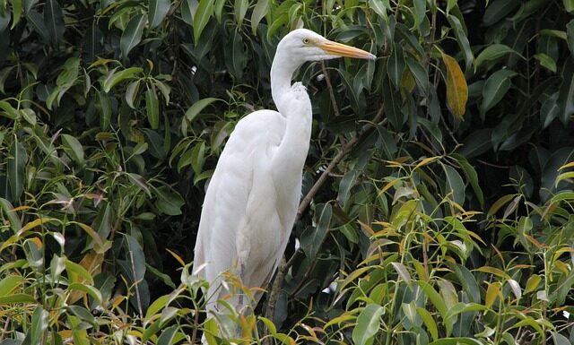 Czy opłaca się mieszkać we Włoszech? Czy opłaca się mieszkać we Włoszech?